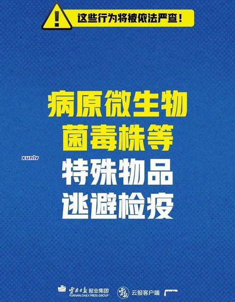 法务会被追责吗-有谁知道法务可以追回来钱吗