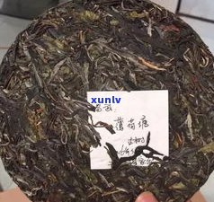 普洱茶薄荷塘茶气-普洱茶薄荷塘茶气味怎么样