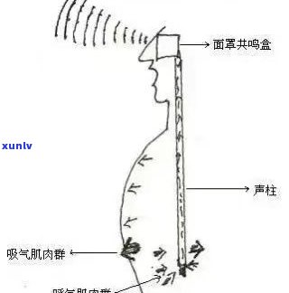 弯弓普洱茶：地理位置、特点及价格全解析，口感如何？一文了解