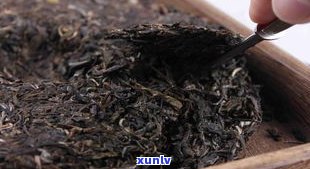 普洱茶的霉菌：种类、温度杀灭法及与金花区别，能否饮用？