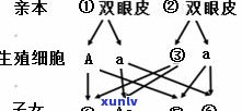 玉石手串尺寸误差标准及适宜直径参考