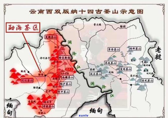 普洱茶的茶区范围及其划分：详解五大产区