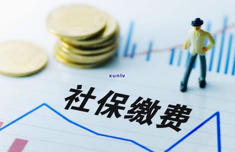 法务债事：是真的吗？详解法务债事公司、债务法务工作及咨询服务