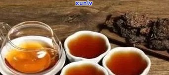 普洱茶的茶区范围-普洱茶的茶区范围是什么