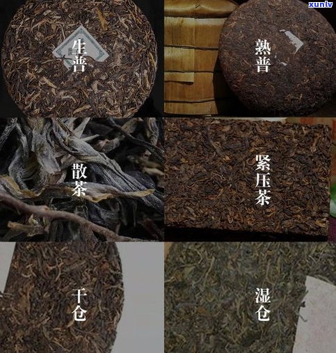 云南普洱茶凤凰窝产地、品质及评价全解析