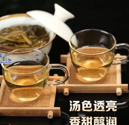 普洱茶里的茶图片真实大全高清图