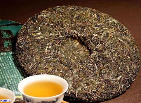 小龙珠普洱茶：生茶与熟茶的区别及其功效