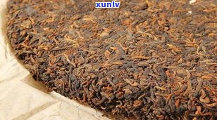 小龙珠普洱茶：生茶与熟茶的区别及其功效