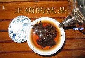 普洱茶的生茶冲泡-普洱茶的生茶冲泡方法