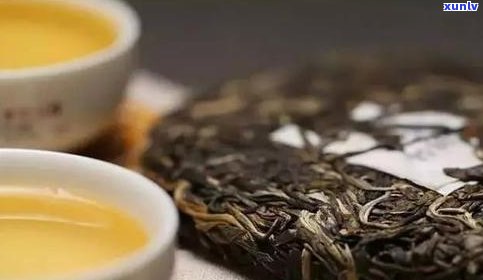 普洱茶是什么茶气-普洱茶是什么茶气味的