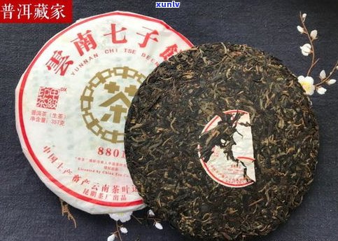 中茶小龙石普洱茶-中茶小龙石普洱茶怎么样