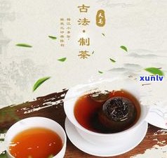 老茶普洱茶的功效和作用：全面解析与禁忌