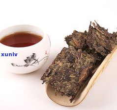 普洱茶与泾渭茯茶：区别解析