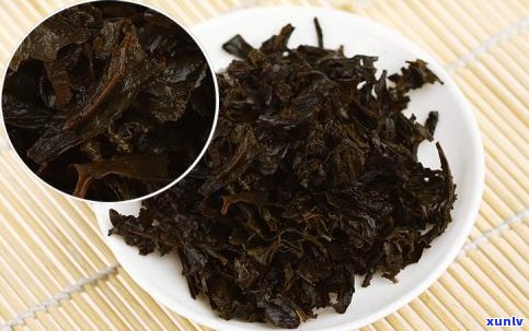 普洱茶与泾渭茯茶：区别解析