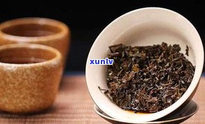 普洱茶与泾渭茯茶：区别解析