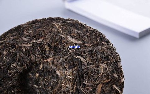 普洱茶中混有茶籽-普洱茶中混有茶籽怎么办