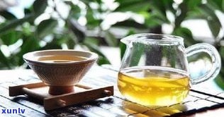 普洱茶中混有茶籽-普洱茶中混有茶籽怎么办