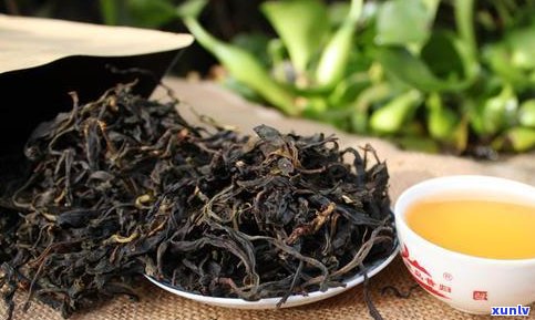 普洱茶生茶品种最佳选择：十大口感好、品质优的品种推荐
