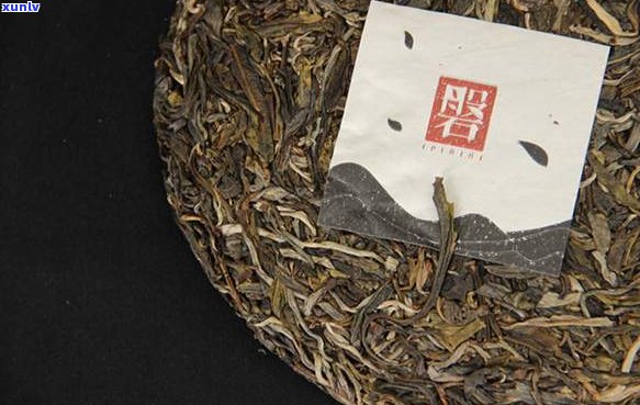 普洱茶生茶品种大全：详细介绍与分类