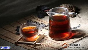 普洱茶绿茶营养-普洱茶绿茶营养成分表