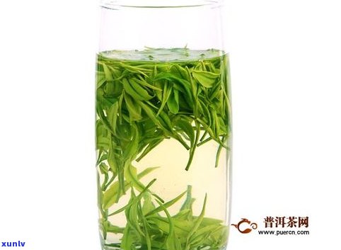 普洱茶绿茶营养-普洱茶绿茶营养成分表