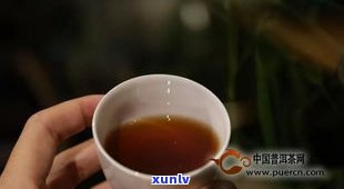 普洱隔夜茶：能喝还是不能？