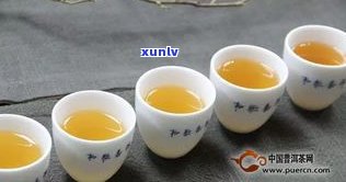 茶友记口粮普洱茶-茶友网(原:中国普洱茶网)关于网站系统调整维护的公告