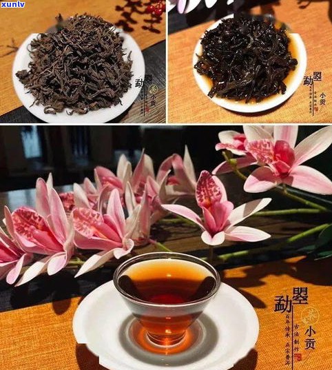 2019年普洱茶：还能喝吗？价格多少？