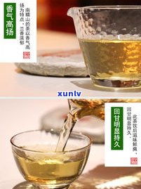 19年普洱茶生茶-2019年的普洱生茶品质好不好