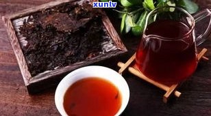 19年普洱茶生茶-2019年的普洱生茶品质好不好