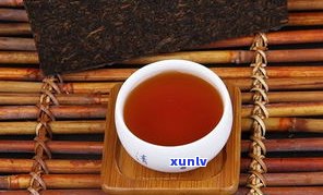 普洱茶：品种、茶系与分类全解析
