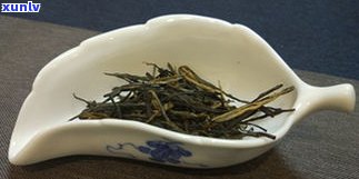 普洱茶大叶茶好吗-普洱茶大叶茶好吗怎么泡