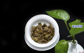 普洱茶大叶茶好吗-普洱茶大叶茶好吗怎么泡