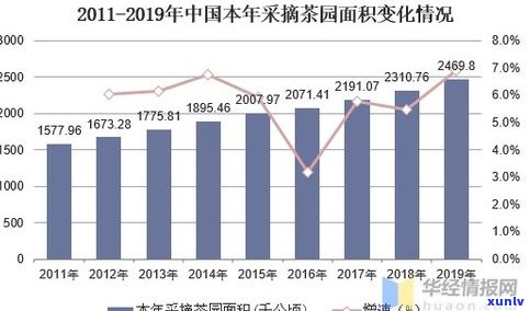 外国人普洱茶：现状、发展与消费趋势