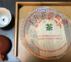 普洱茶龙珠与小饼：哪种更好？比较它们的优缺点