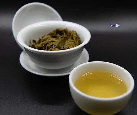 老生茶普洱茶的功效与作用：特点、口感及全面解析