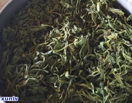 普洱茶饼生茶视频讲解全攻略：制作过程、教程与大全