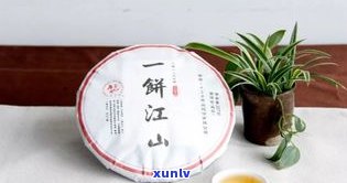 普洱茶饼生茶视频教程：全过程教学与下载