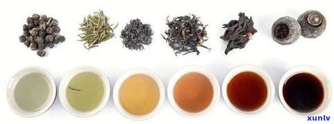 普洱茶生茶茶饼价格及购买指南：种类、品质与冲泡方法全解析