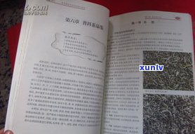 普洱茶是357还是375？探究357克的由来与含义