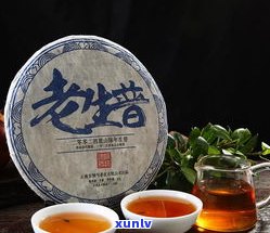 普洱茶357综合-普洱茶357g