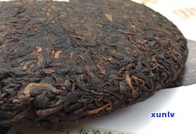 普洱茶属什么茶种-普洱茶属什么茶种类