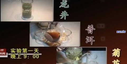 普洱茶误区：揭示普洱茶的陷阱与猫腻，喝着真的好吗？