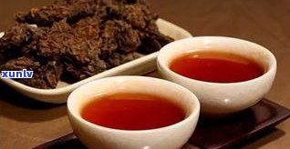 普洱茶买哪家？寻找口感好、品质优的普洱茶品牌