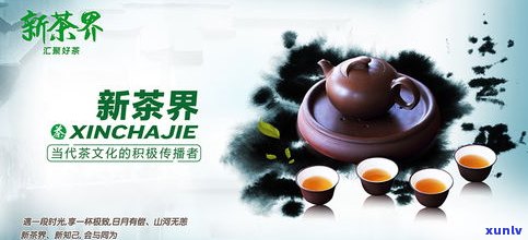 普洱茶饼怎样洗茶-普洱茶饼怎样洗茶好