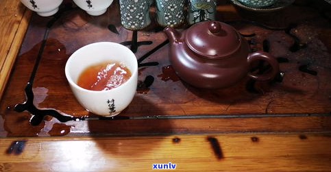 普洱茶归为什么茶-普洱茶归为什么茶类