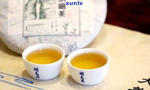 老树茶与普洱茶有何区别？从定义、制作工艺、口感等多个方面解析