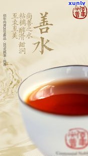 老树拼配茶普洱茶-老树拼配茶普洱茶怎么样