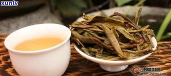 二春普洱茶秋茶-二春普洱茶秋茶哪个好喝