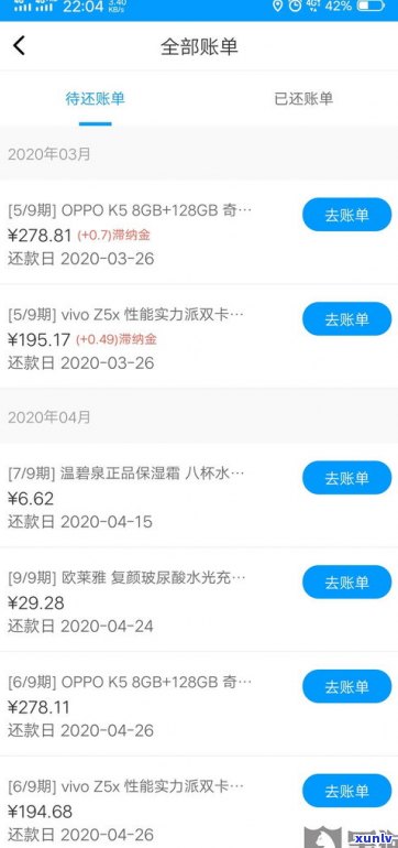 能否通过客服电话申请延期还款？